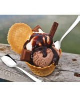 Ice cream spoon set