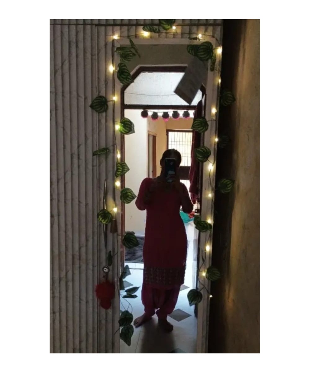 6-Foot Money Plant Vine with String Lights for Home, and Party Décor Artificial Plant (213 cm, Green)