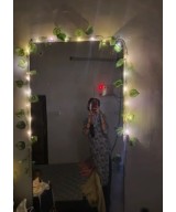 6-Foot Money Plant Vine with String Lights for Home, and Party Décor Artificial Plant (213 cm, Green)