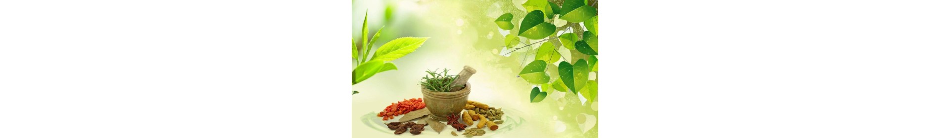 Ayurveda Products & Natural Wellness Solutions | NityaTrends